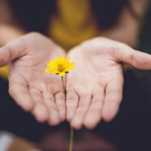 Mindfulness lente 2026